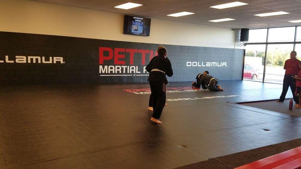 Pettis Martial Arts | 2300 E Layton Ave, St Francis, WI 53235, USA | Phone: (414) 763-6562