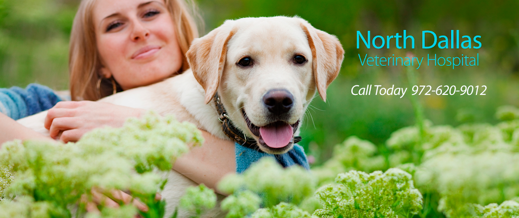 North Dallas Veterinary Hospital | 3452 Forest Ln #100, Dallas, TX 75234, USA | Phone: (972) 620-9012