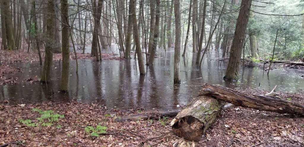 Appalachian Trail | Barrett Rd, Highland Lakes, NJ 07422, USA