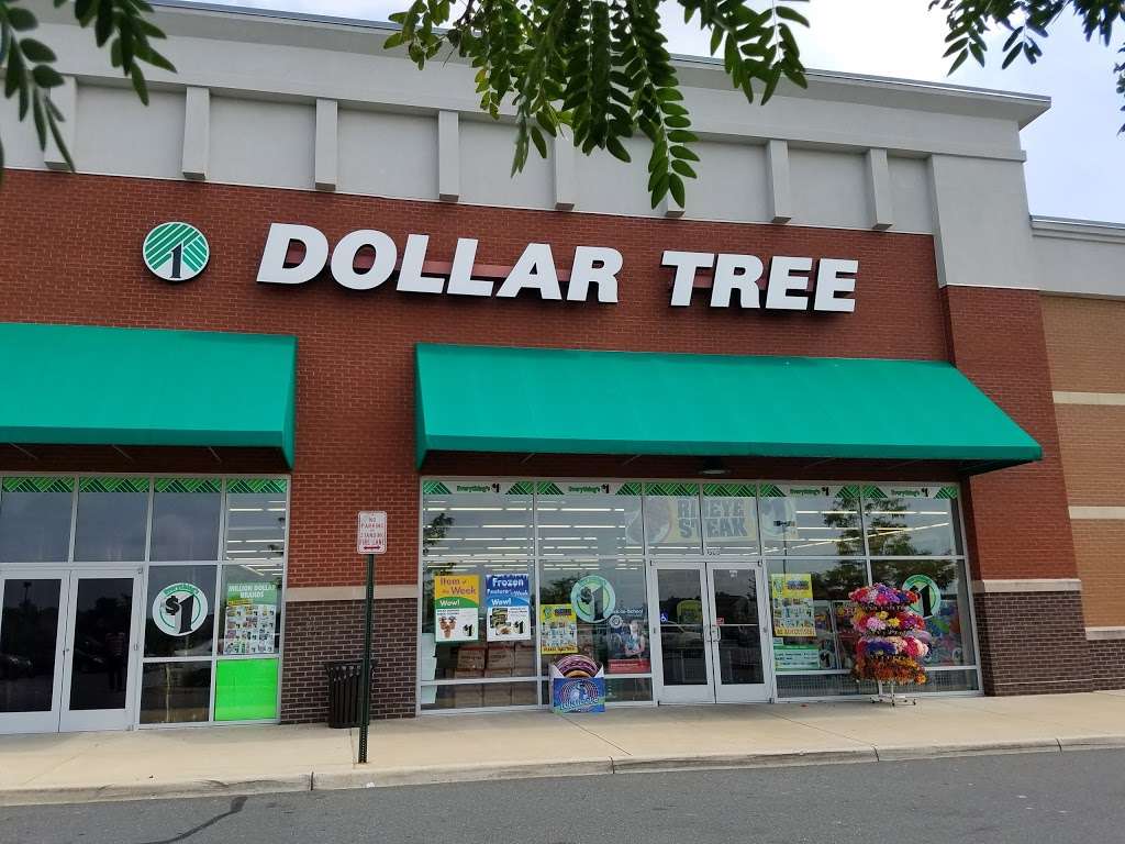 Dollar Tree | 508 Fort Evans Rd NE, Leesburg, VA 20176, USA | Phone: (571) 510-8151