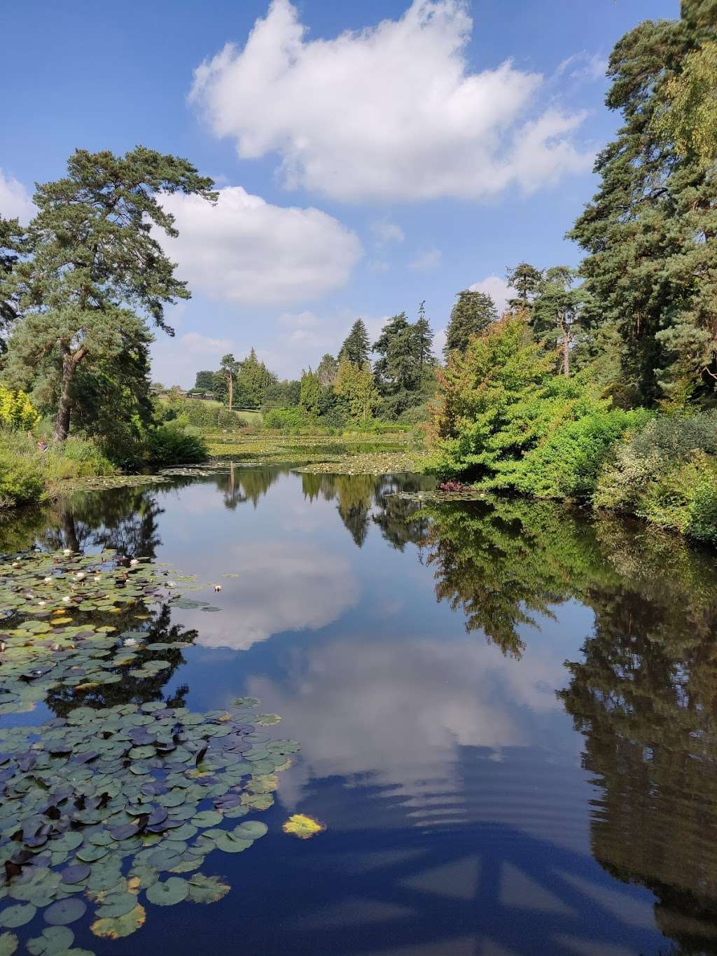 Bedgebury Pinetum Main | Park Ln, Goudhurst, Cranbrook TN17 2SL, UK