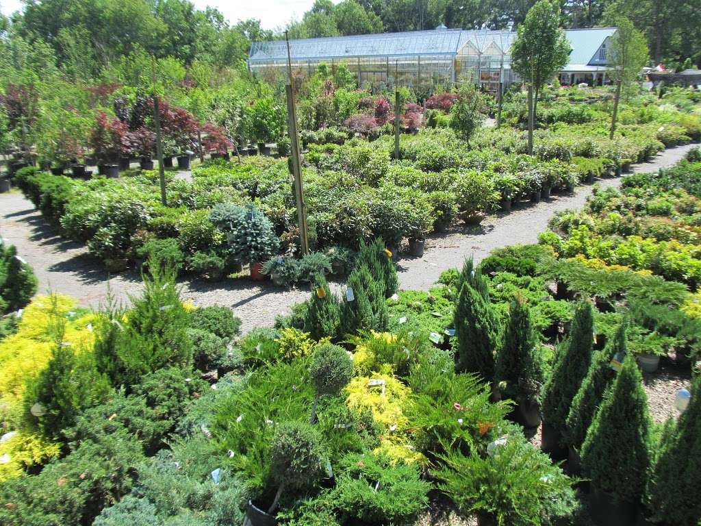 Weston Nurseries | 160 Pine Hill Rd, Chelmsford, MA 01824, USA | Phone: (978) 349-0055