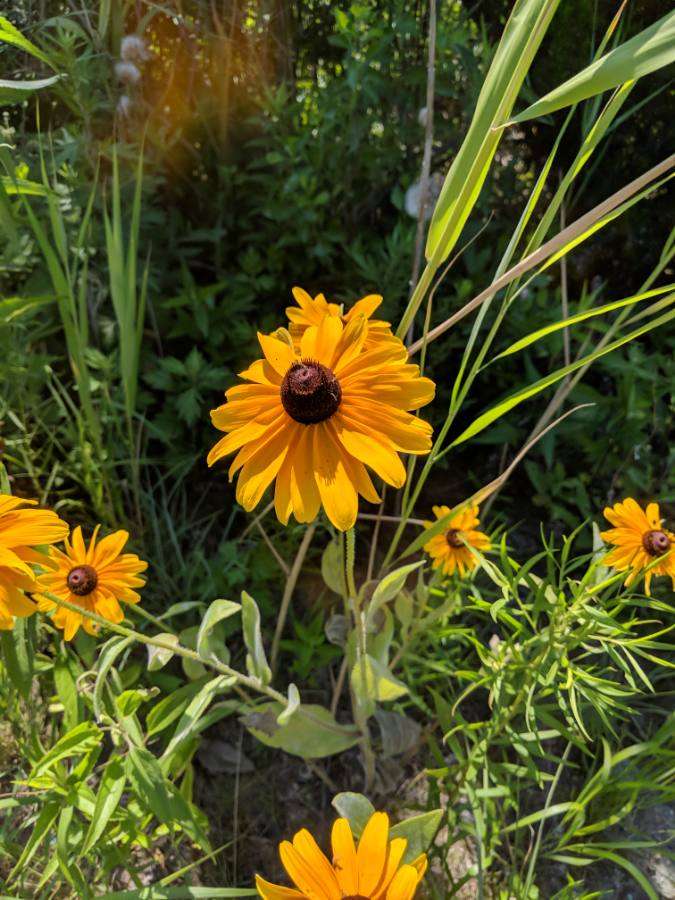 Cedar Bonnet Island Park | 1355-1357 E Bay Ave, Stafford Township, NJ 08050, USA