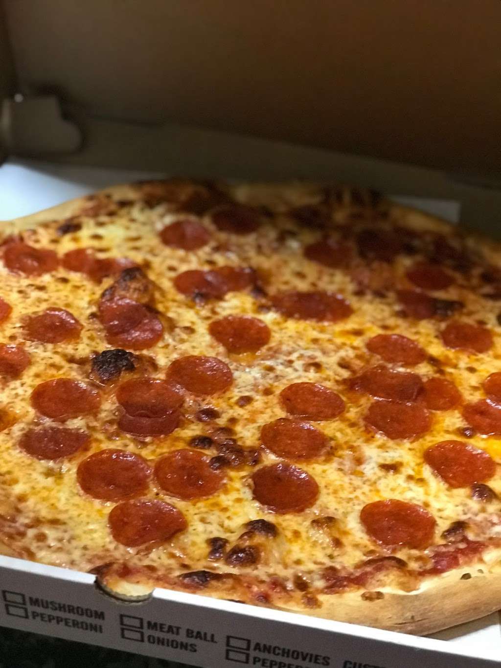 Heights Pizza Plus | 102 S Lander St #1, Newburgh, NY 12550, USA | Phone: (845) 563-0388