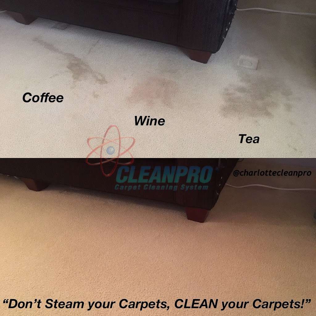 Charlotte Cleanpro - Carpet Cleaning | 317 Boyce Rd, Charlotte, NC 28211 | Phone: (980) 349-6335