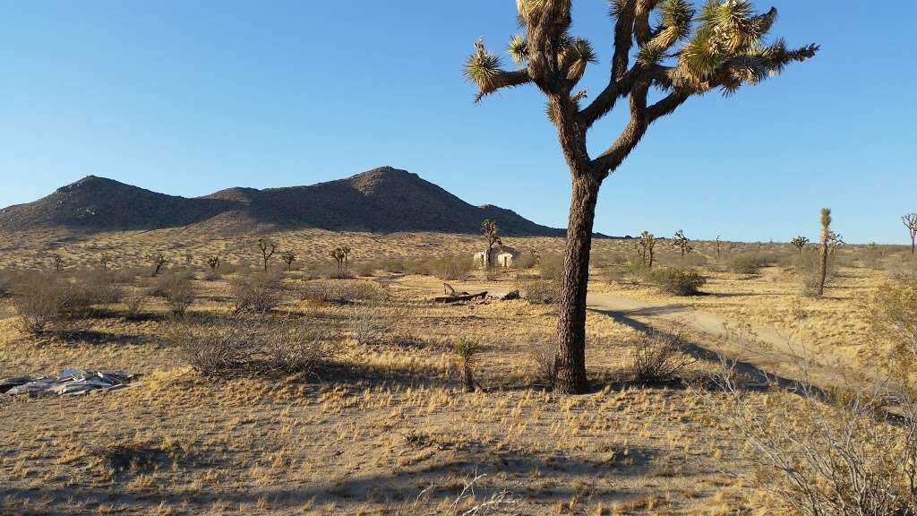 Alpine Butte Wildlife Sanctuary | Palmdale, CA 93591, USA