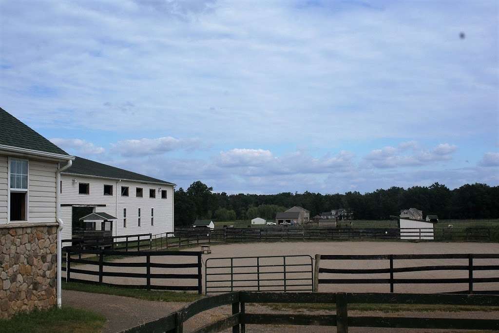 WINDY MEADOWS HORSE FARM, INC | 12849 Lemaster Dr, Nokesville, VA 20181, USA | Phone: (571) 437-6051