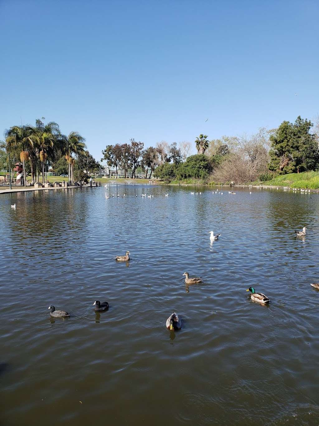 Polliwog Park Dog Park - Manhattan Beach, CA 90266