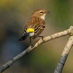 Hickory Creek Preserve - LaPorte Road Access | 10537 W La Porte Rd, Mokena, IL 60448, USA | Phone: (815) 727-8700