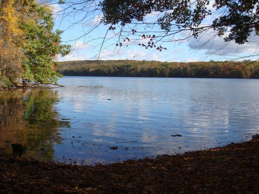 Upper Paugussett State Forest | 152 Hanover Rd, Newtown, CT 06470, USA | Phone: (860) 424-3000