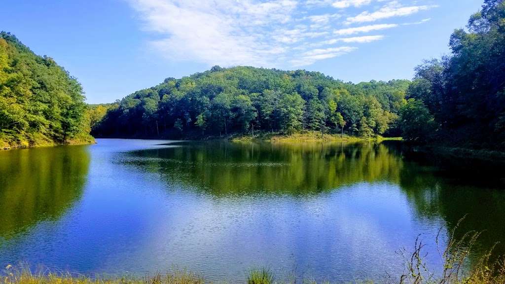 Yellowwood State Forest | 772 Yellowwood Lake Rd, Nashville, IN 47448, USA | Phone: (812) 988-7945