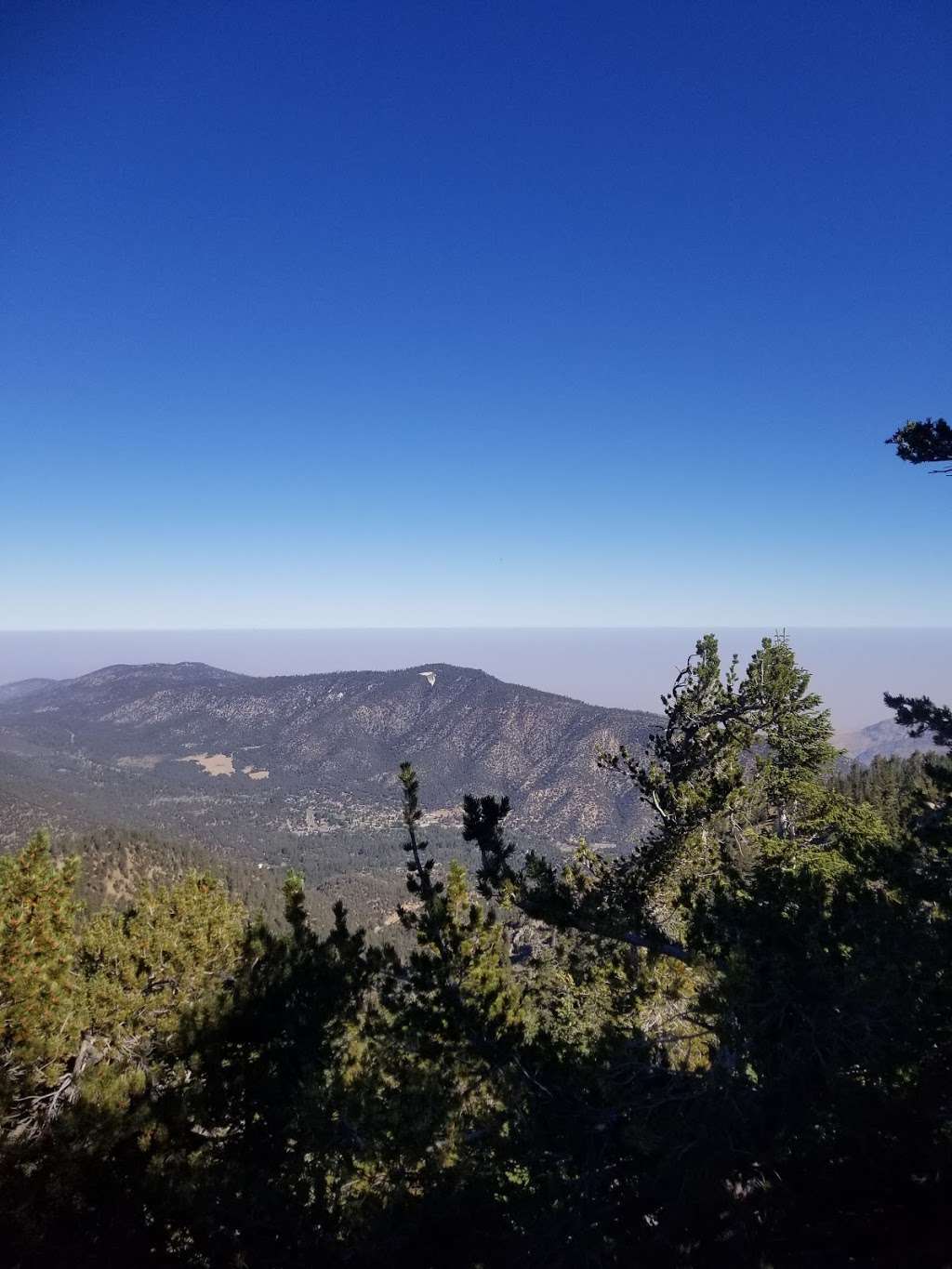 Mt. Pinos Hiking Trail | Forest Rte 9N24, Frazier Park, CA 93225, USA