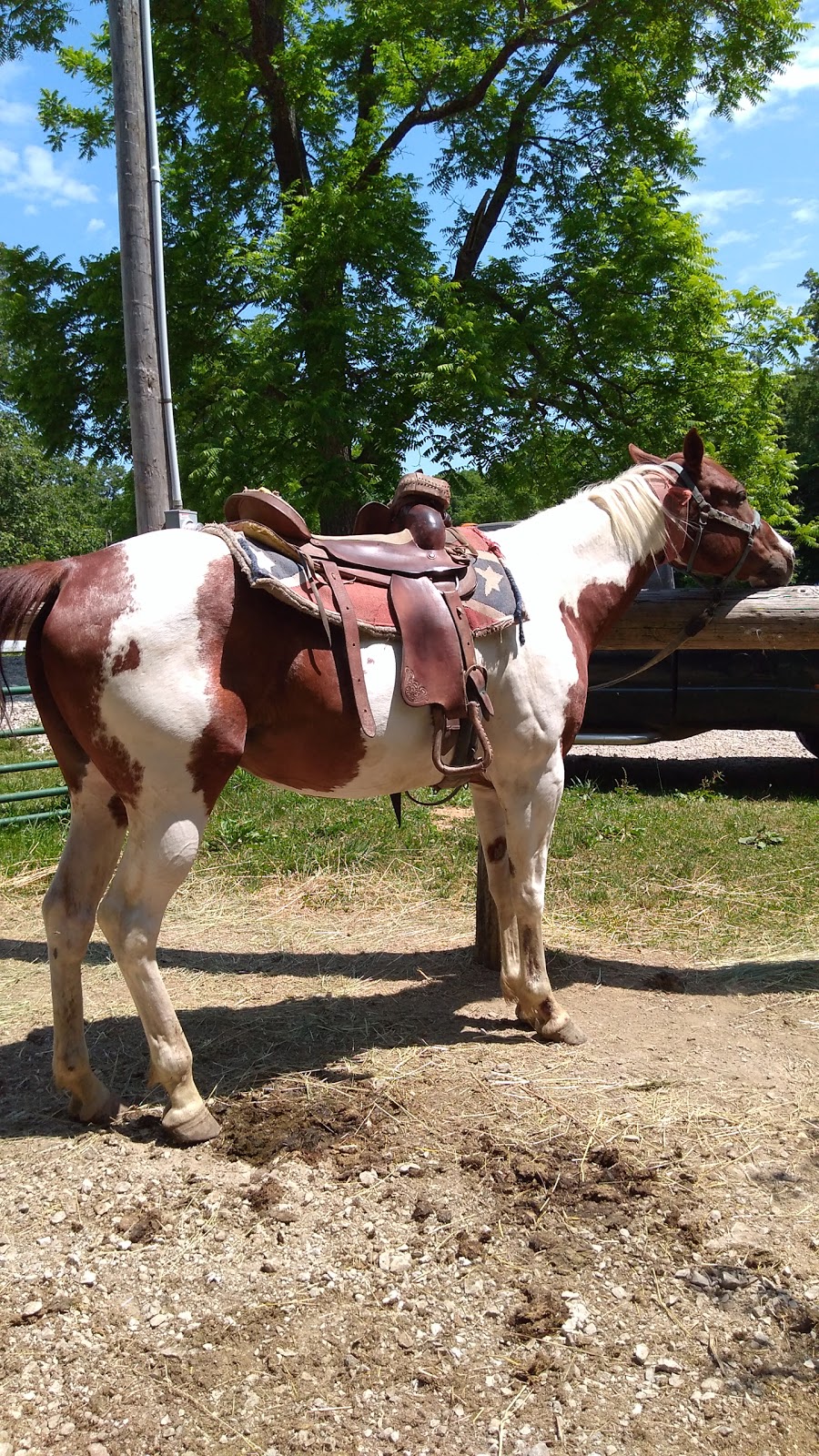 Grandpa Jeffs Trailrides | 5889 S Skinner Rd, Morgantown, IN 46160, USA | Phone: (812) 272-0702