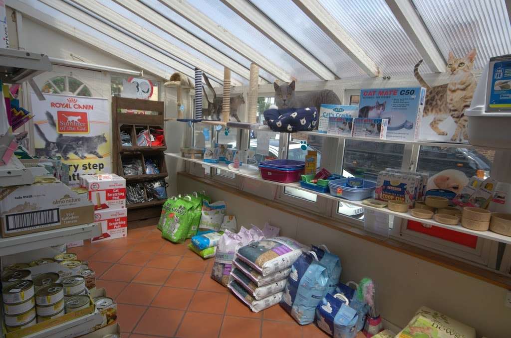 Woofs A Daisy | 36 Coombe Rd, Kingston upon Thames KT2 7AG, UK | Phone: 020 8549 3469