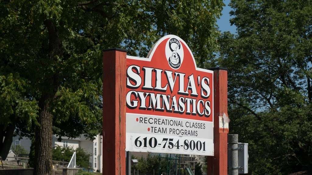 Silvias Gymnastics | 313 Big Rd, Zieglerville, PA 19492, USA | Phone: (610) 754-8001