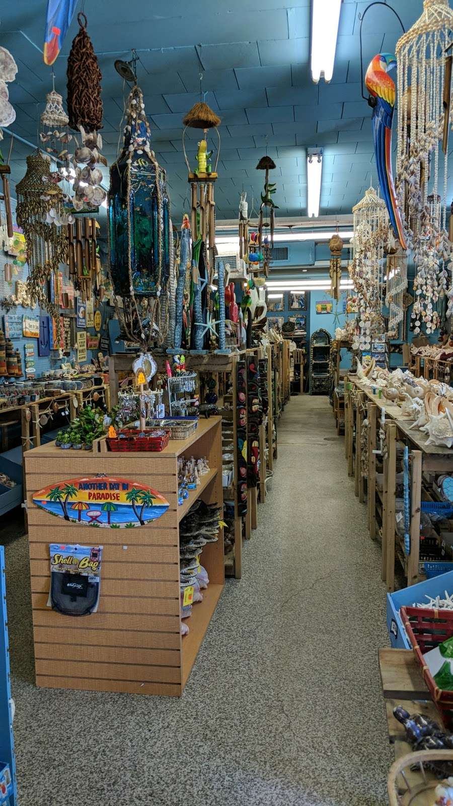 Sea Shell City | 2100 Broadway Ave, Riviera Beach, FL 33404, USA | Phone: (561) 844-2576