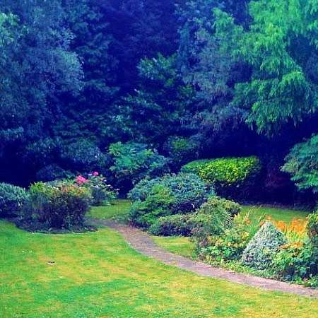 New Gardens of Eden | 21 Maple Ave, London E4 8RR, UK | Phone: 07956 424709