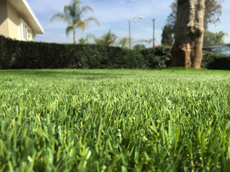 Purchase Green Artificial Grass | 13908 Distribution Way, Farmers Branch, TX 75234, USA | Phone: (214) 453-6820