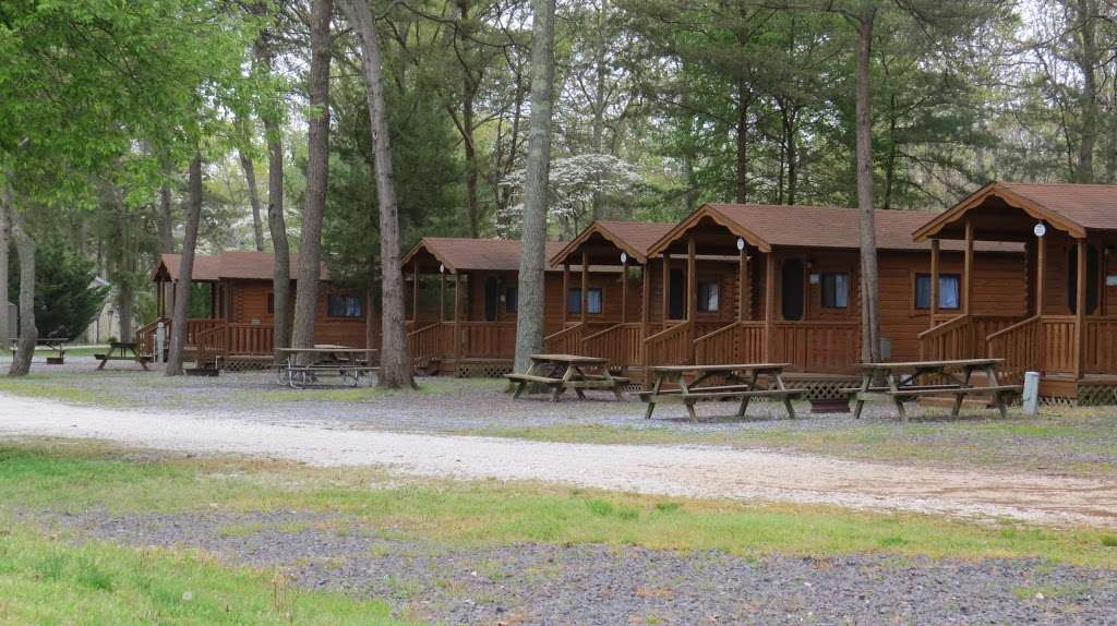 Ponderosa Campground | 18 Beaver Dam Rd, Cape May Court House, NJ 08210, USA | Phone: (866) 465-7794