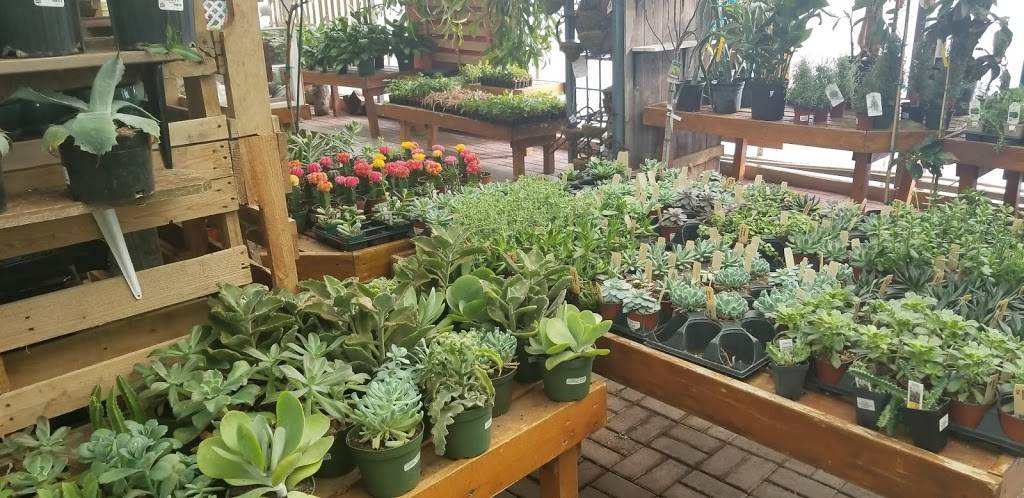 Johnsons Garden Center - East | 6225 E Shadybrook St, Wichita, KS 67208 | Phone: (316) 687-5451