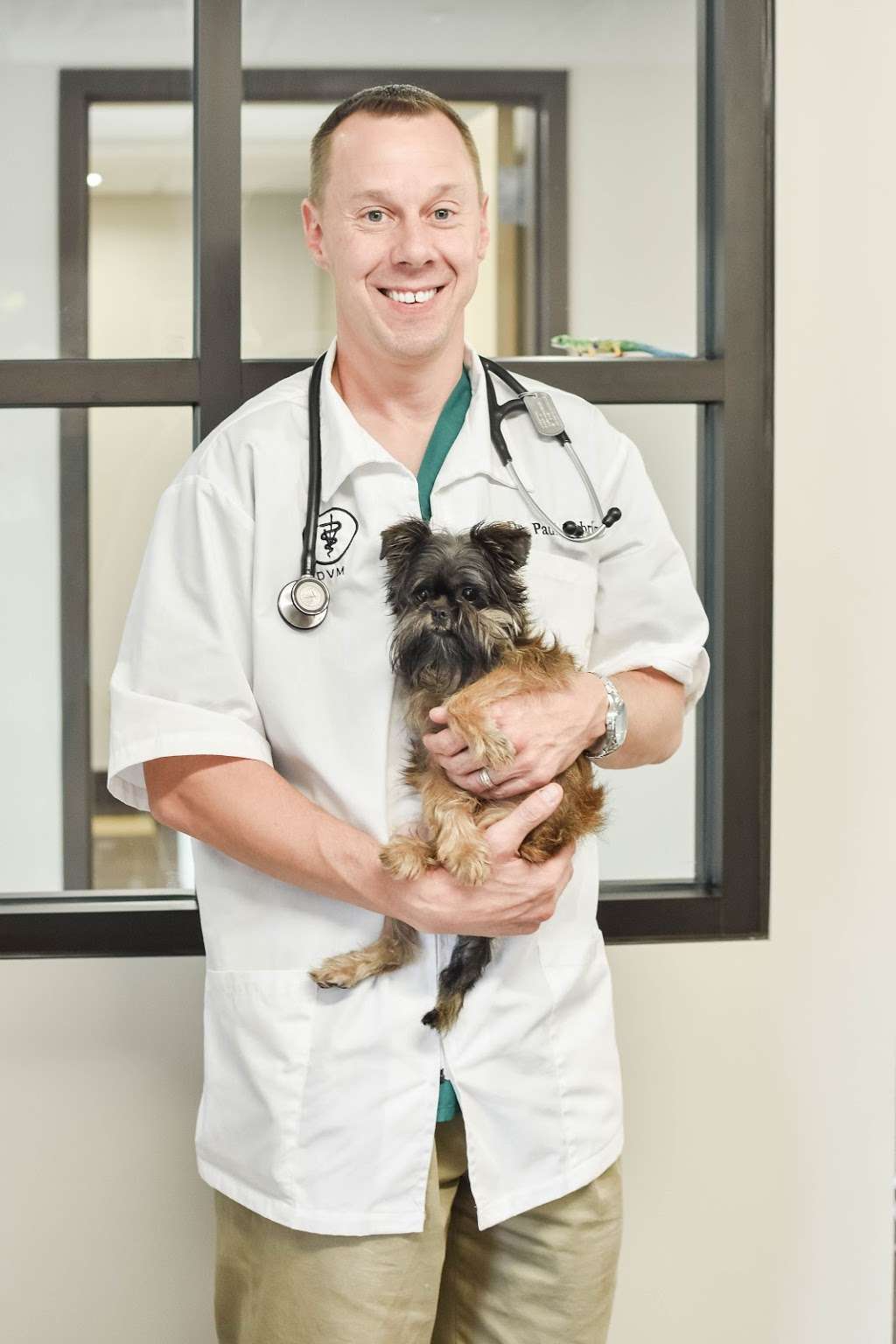 Harwood Veterinary Hospital, LLC | 7954 W, Harwood Ave #020, Wauwatosa, WI 53213, USA | Phone: (414) 828-9863