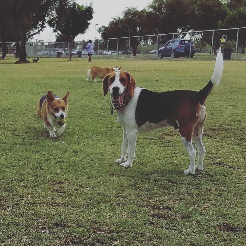 Paradise Valley Small Dog Dog Park | Phoenix, AZ 85032, USA