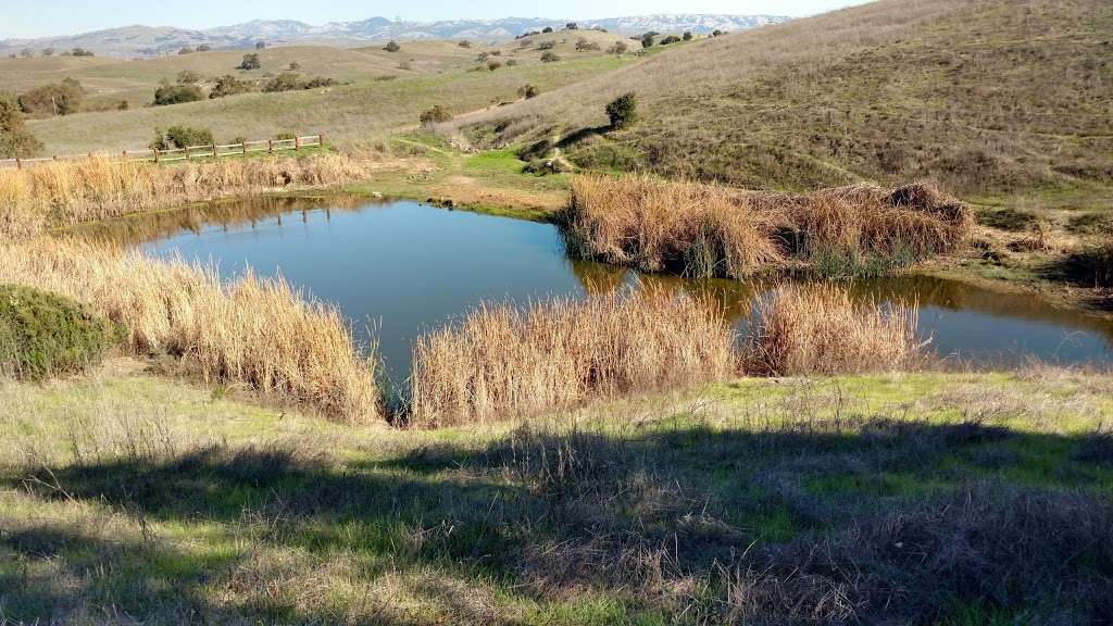 Calero County Park | 23205 McKean Rd, San Jose, CA 95120, USA | Phone: (408) 535-4070