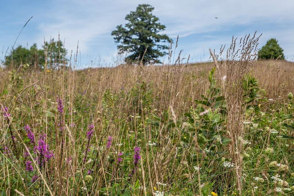 Schunemunk Mountain Trail Head | 17 Taylor Rd, New Windsor, NY 12553, USA | Phone: (845) 351-5907