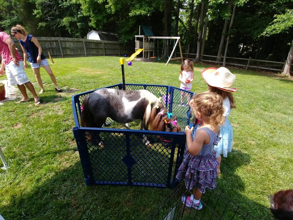 Beach Party Ponies & Barnyard Petting Zoo | 2789 W Gibbs Rd, Virginia Beach, VA 23457 | Phone: (757) 421-7420