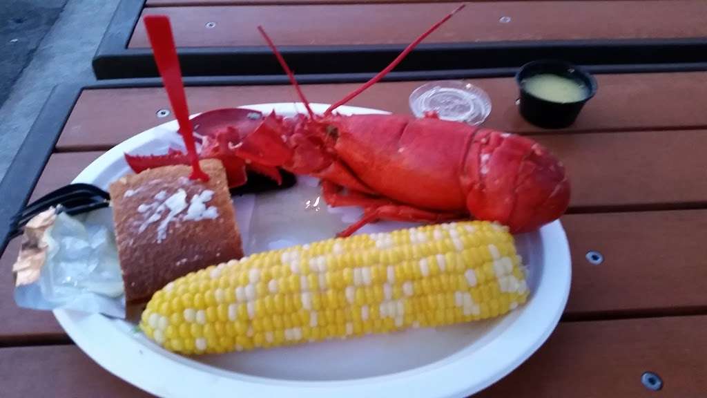 Blue Collar Lobster Co. | 63 Rogers St, Gloucester, MA 01930, USA | Phone: (978) 283-1812