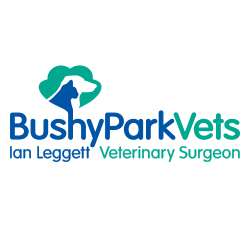 Bushy Park Vets | 2-3, The Pavement, Bushy Park Rd, Teddington TW11 9JE, UK | Phone: 020 8977 3452