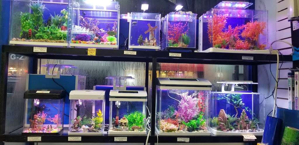 Amazing Aquarium | 2136 86th St, Brooklyn, NY 11214, USA | Phone: (718) 996-0171