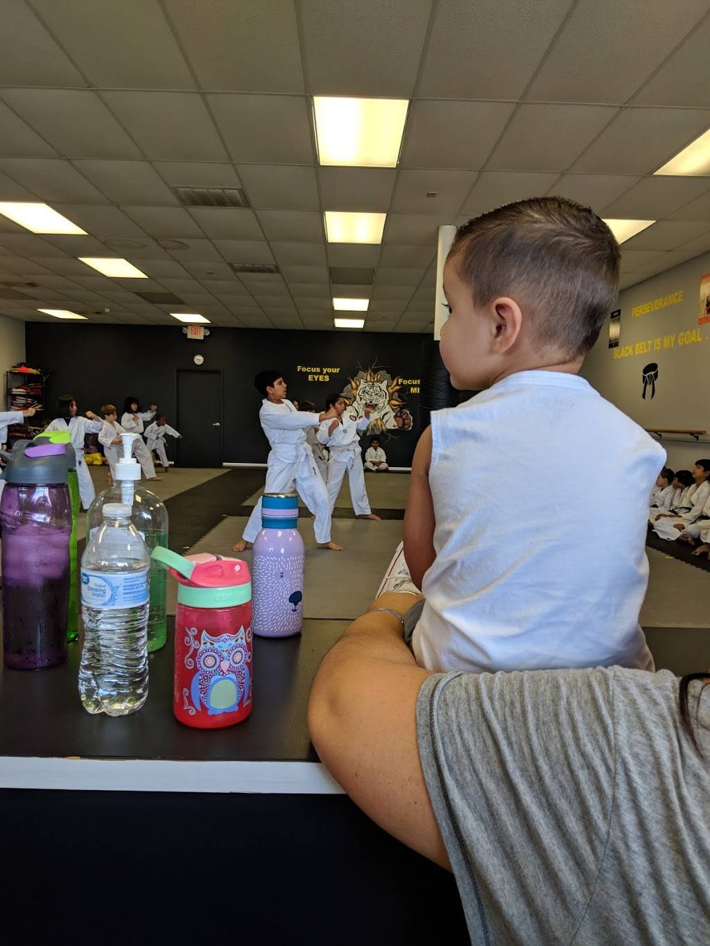 Black Tiger Martial Arts | 12218 Jones Rd suite j, Houston, TX 77070, USA | Phone: (281) 794-1539