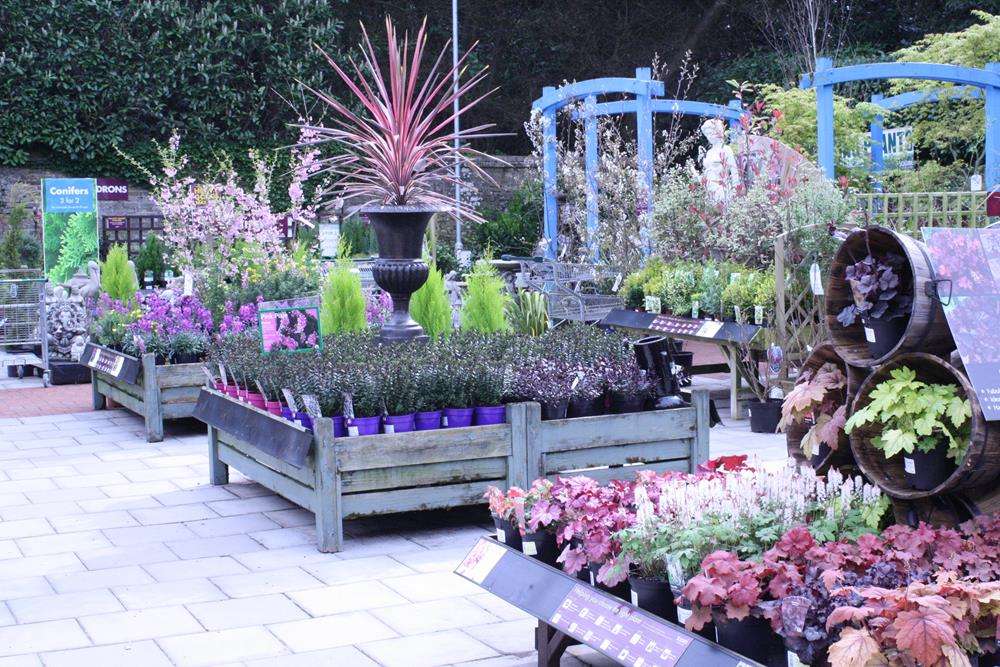 Squires Garden Centre | A25, Reigate RH2 9RE, UK | Phone: 01737 247217