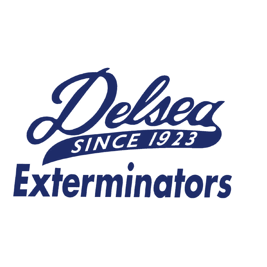Delsea Exterminators | 654 Glassboro Rd, Williamstown, NJ 08094, USA | Phone: (856) 875-8712