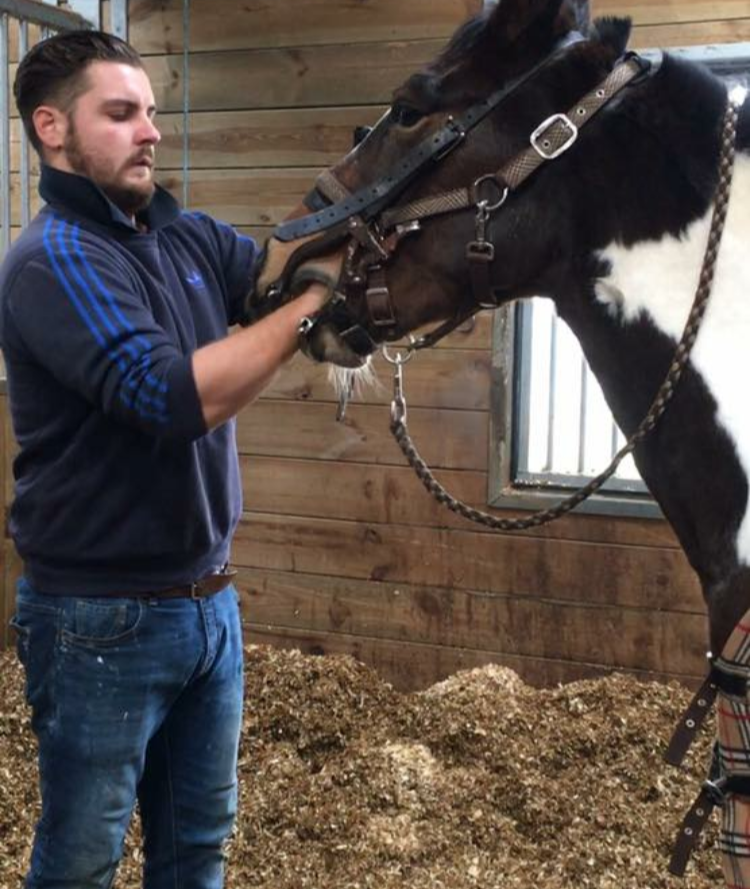 Lee Graham Equine Dentist | Yalding, Maidstone, Kent ME15 0PJ, UK | Phone: 07956 608918