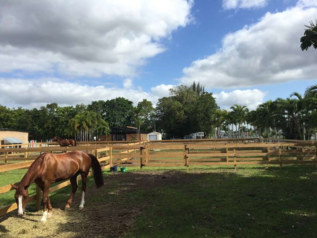 Horse Club Florida | 5120 SW 208th Ln, Southwest Ranches, FL 33332 | Phone: (954) 554-4440