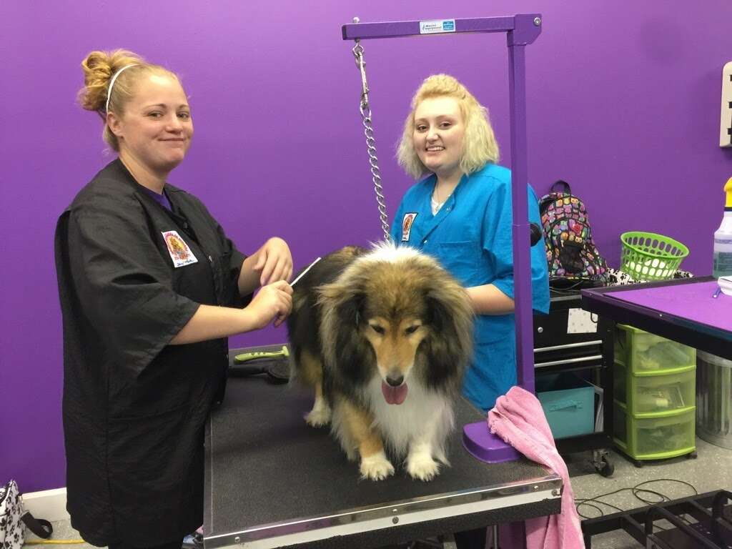 Grooming School of Indiana | 2435 S State Rd 135, Greenwood, IN 46143, USA | Phone: (317) 919-5471