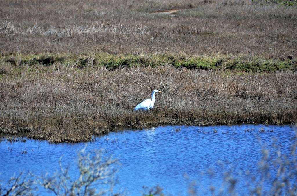 West Shoreline Access | Unnamed Road, Half Moon Bay, CA 94019, USA