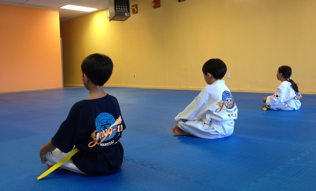 Yong In Elite Taekwondo | 553 Livingston St, Norwood, NJ 07648, USA | Phone: (201) 767-0705