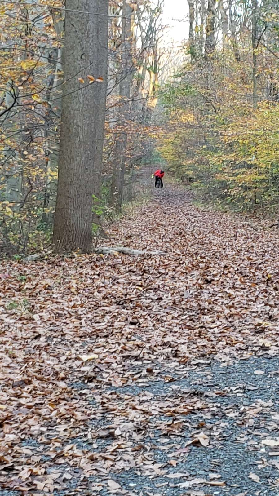 Pennypack creek trail | Pennypack Creek Trail, Huntingdon Valley, PA 19006, USA