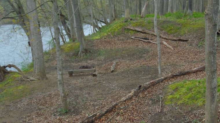 National Park Service - Delaware River - Toms Creek - Campsites  | Lehman Township, PA 18328, USA