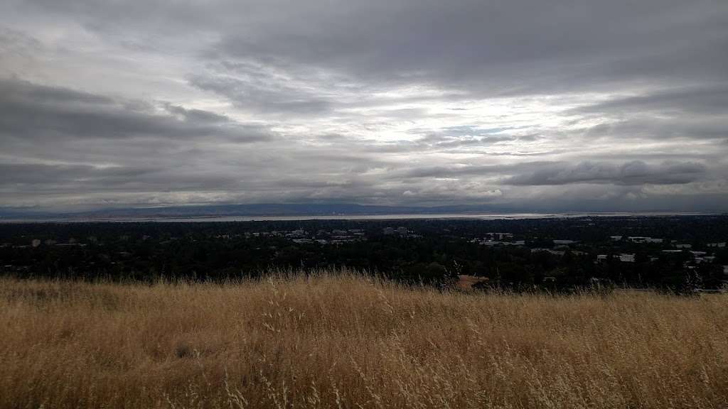 Entrance to Stanford Dish Hike | Stanford Dish Hiking Trail, Stanford, CA 94305, USA | Phone: (650) 716-7746