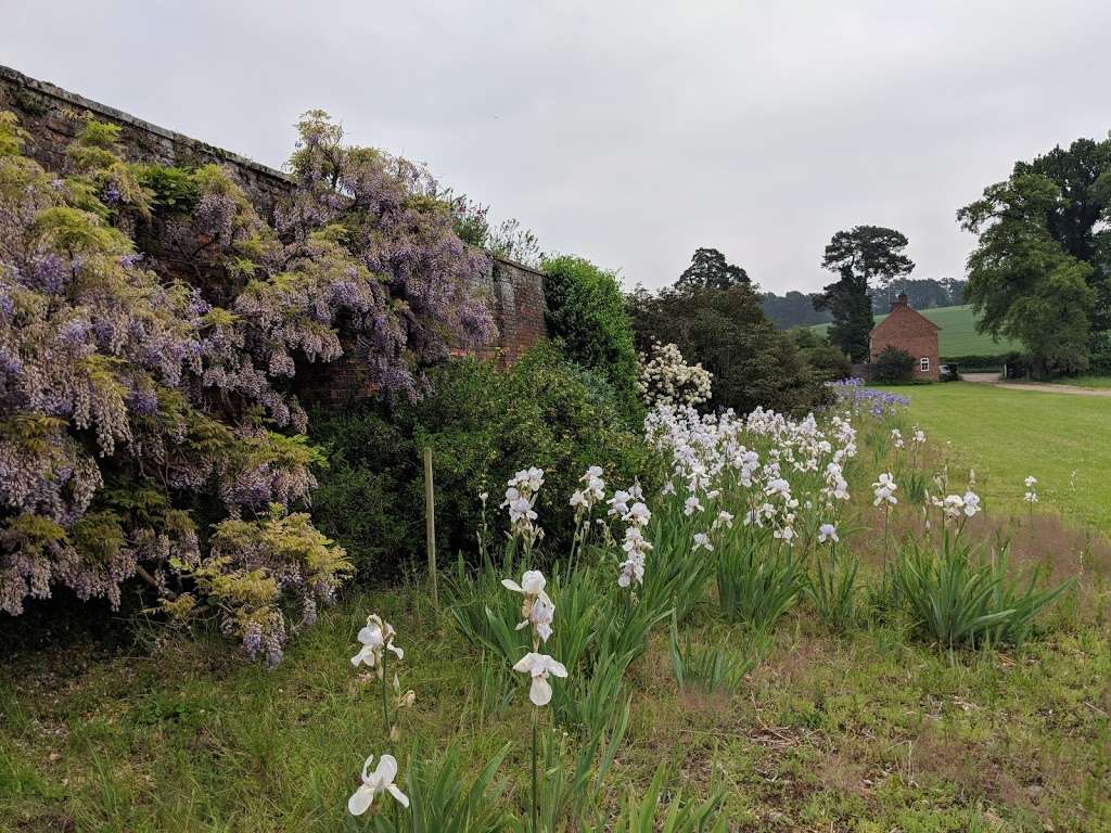 Within The Walls Garden Project | 9 B651, Whitwell, Hitchin SG4 8AF, UK | Phone: 07900 977653