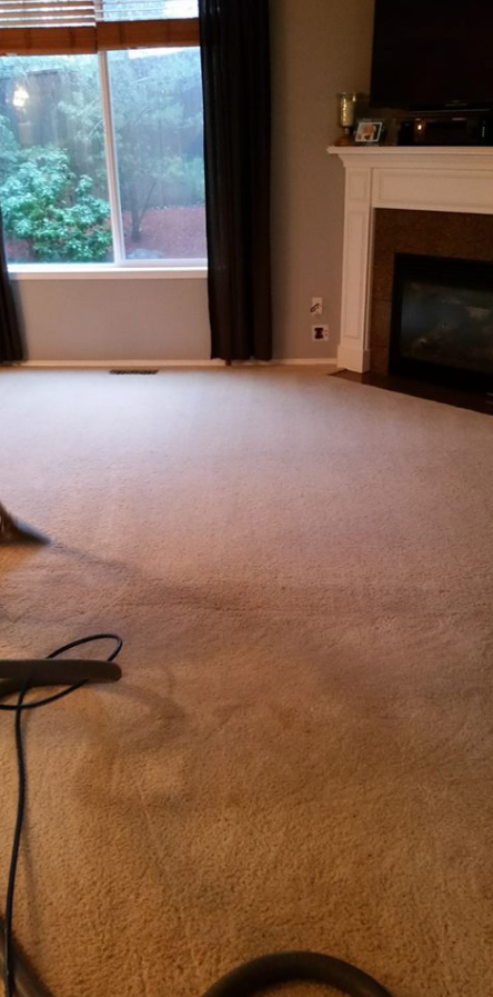 Absolute Carpet Cleaning Inc | 6825 SW 62nd Pl, Portland, OR 97219, USA | Phone: (503) 351-4954