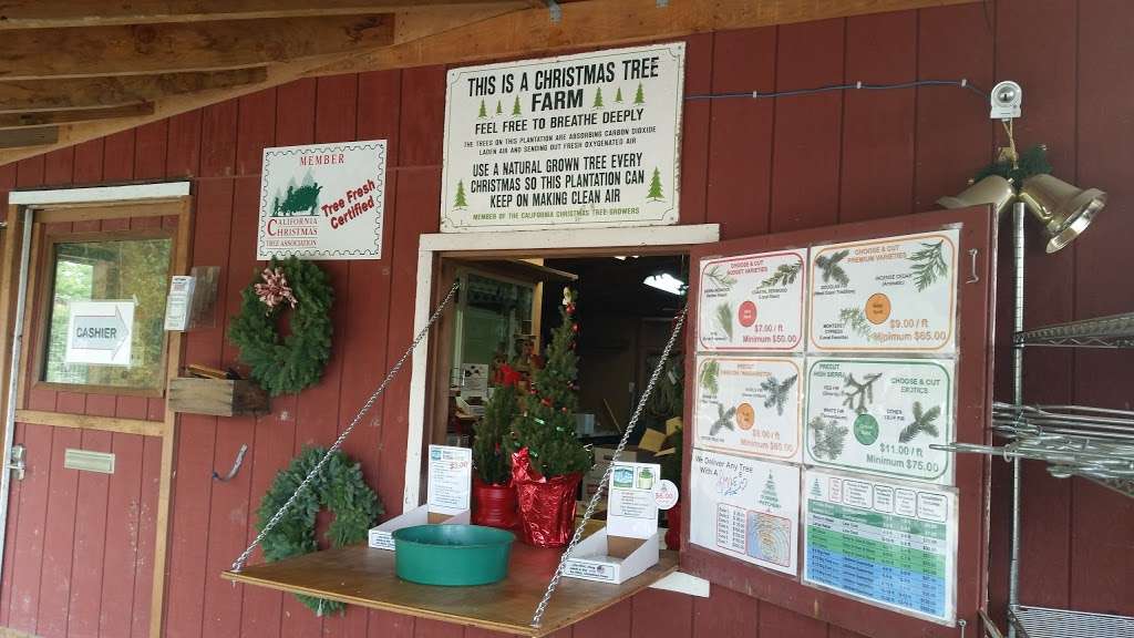 Patchen Rancho Christmas Tree Farm | 17430 Old Summit Rd, Los Gatos, CA 95033, USA | Phone: (408) 353-5696
