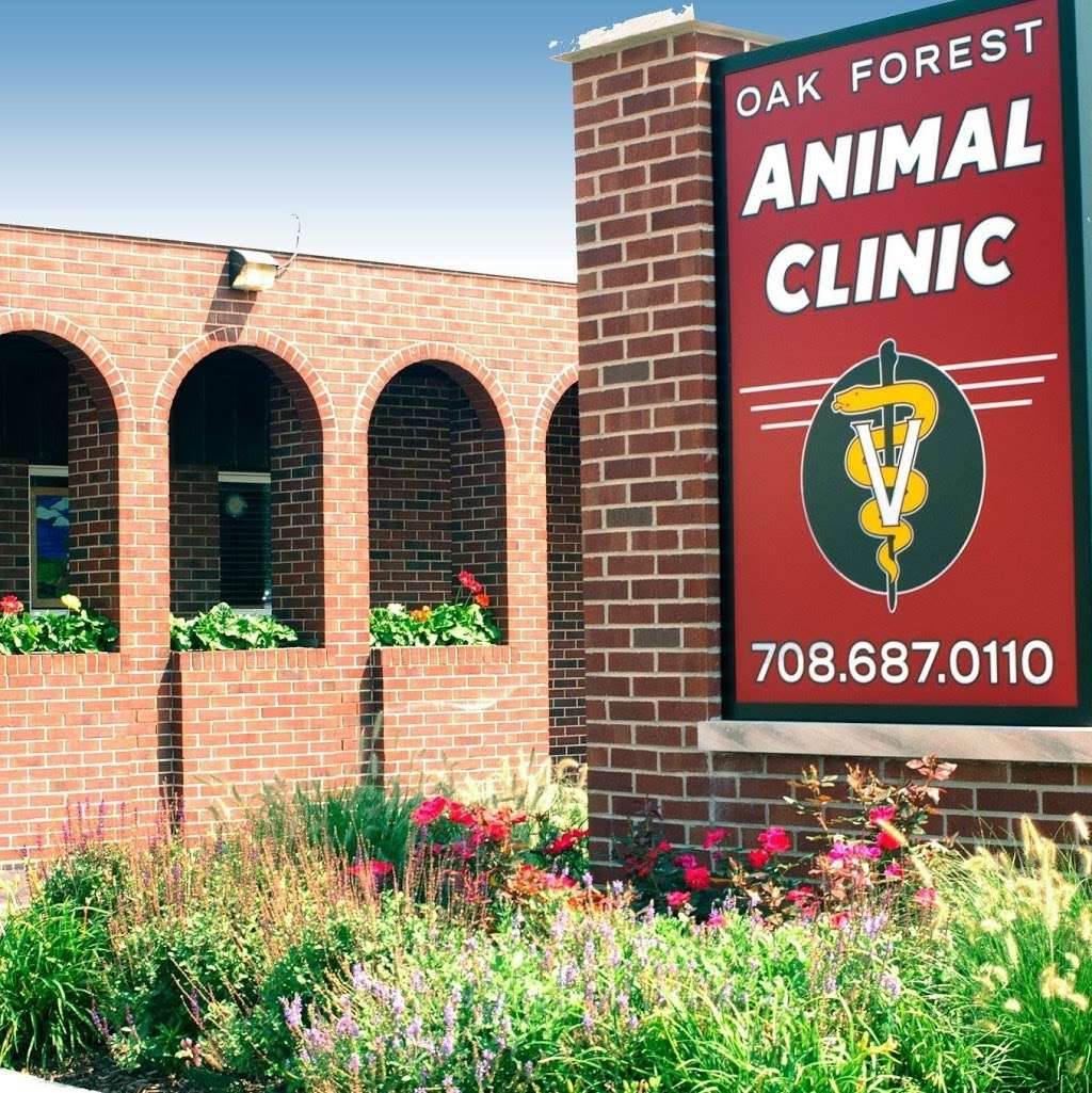 Oak Forest Animal Clinic | 15701 S Cicero Ave #101, Oak Forest, IL 60452, USA | Phone: (708) 687-0110