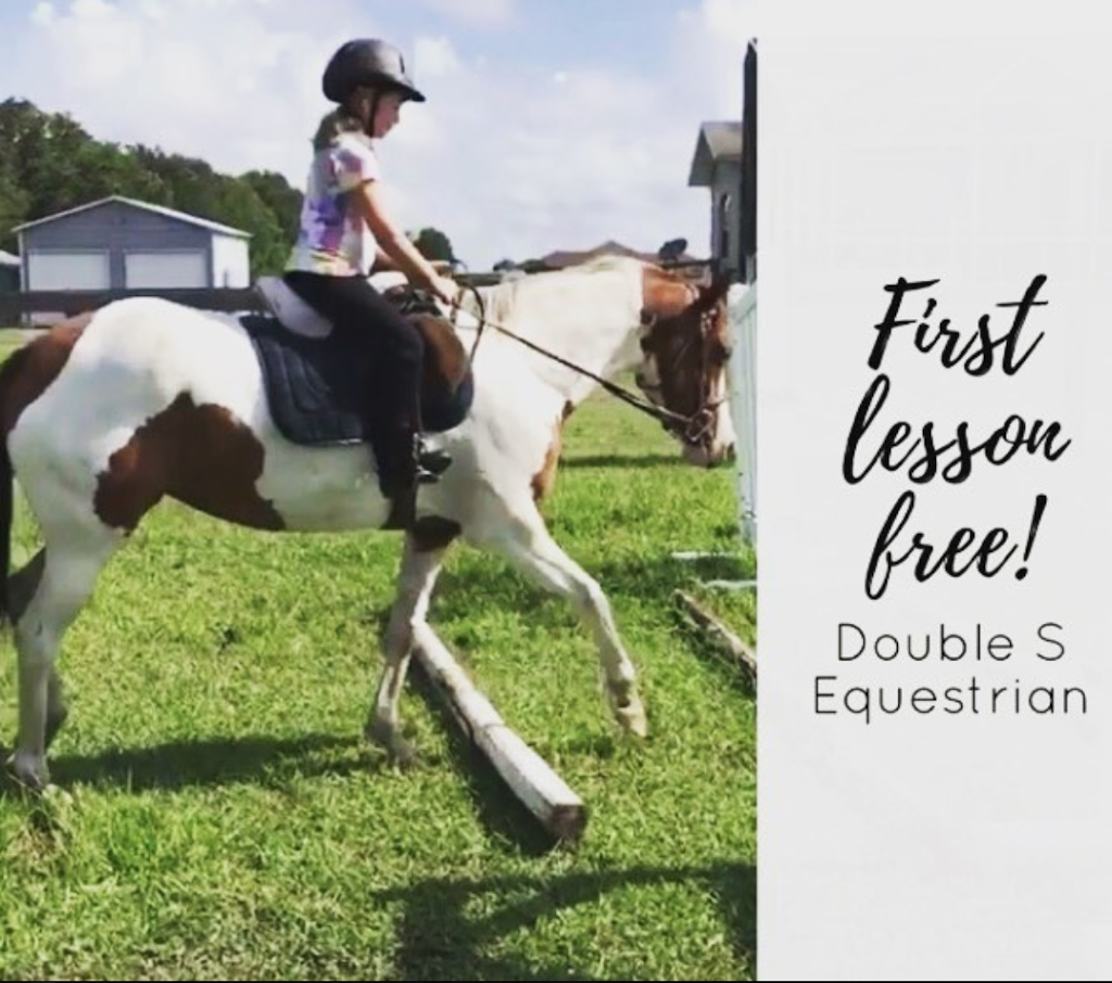 Double S Equestrian | 8420 Colony Barn Rd, Clermont, FL 34714, USA | Phone: (352) 223-5716