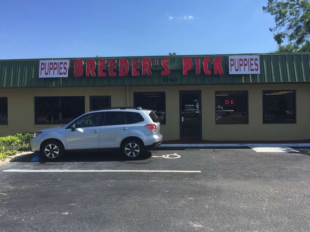 Breeders Pick Orlando Inc. | 11484 E Colonial Dr, Orlando, FL 32817, USA | Phone: (407) 207-0090