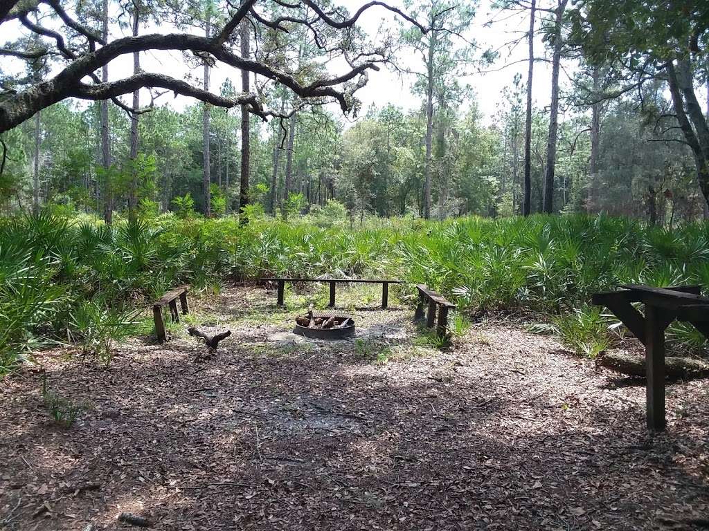 Upper Hillsborough Preserve | 43710 Co Rd 54, Kathleen, FL 33849, USA | Phone: (850) 488-4676